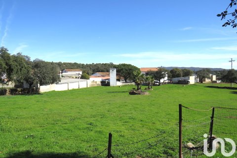 Продажа земельного участка в Замок Эль-Кастильо-де-лас-Гуардас, Севилья, Испания 5534м2 №154268 - фото 5