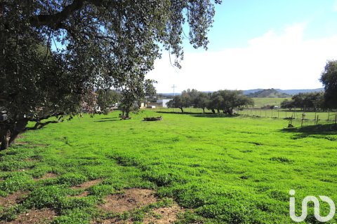 Продажа земельного участка в Замок Эль-Кастильо-де-лас-Гуардас, Севилья, Испания 5534м2 №154268 - фото 6