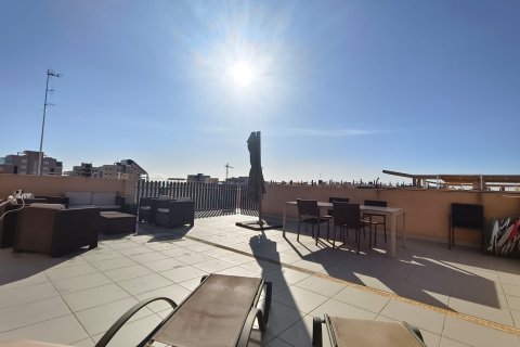 Huoneisto myytävänä Mil Palmeras, Alicante, Espanja, 3 makuuhuonetta, 67 m2 No. 146734 - kuva 29