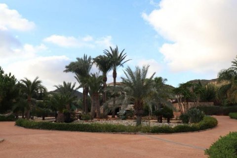 Villa till salu Cartagena, Murcia, Spanien 4 sovrum, 580 kvm. Nr. 115064 - foto 18