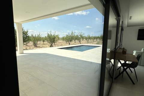 Villa for sale Pinoso, Alicante, Spain 3 bedrooms,  No. 138093 - photo 19