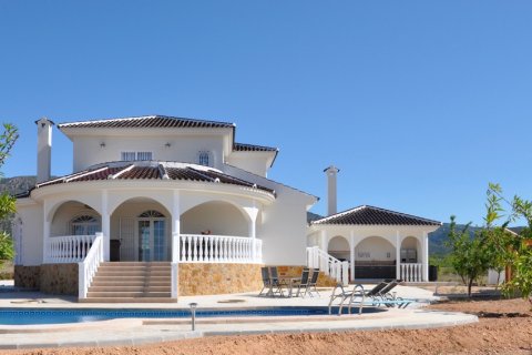 Villa for sale Pinoso, Alicante, Spain 3 bedrooms,  No. 138093 - photo 21