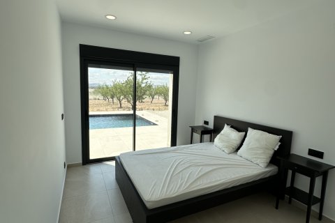 Villa for sale Pinoso, Alicante, Spain 3 bedrooms,  No. 138093 - photo 11