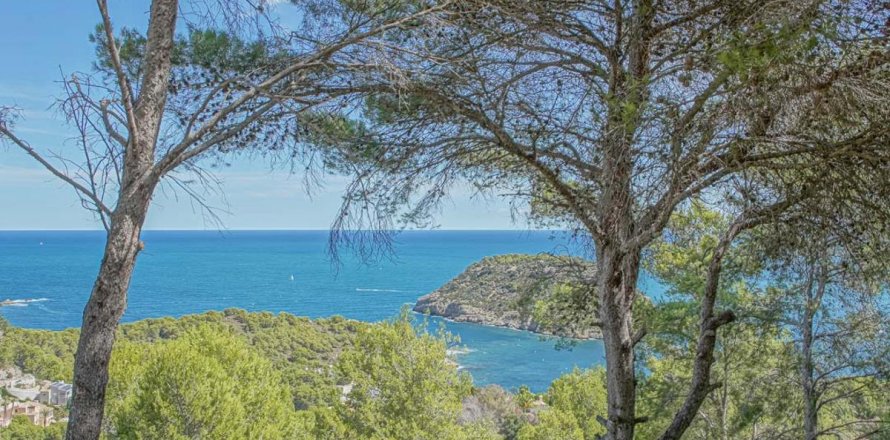 Zemes gabals Javea, Alicante, Spānijā Nr. 80671