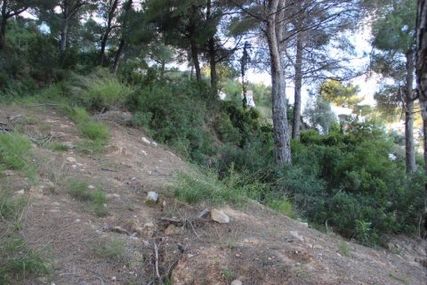 Land plot for sale Javea, Alicante, Spain No. 80672 - photo 2