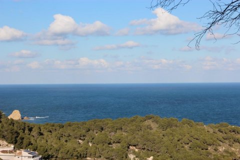 Land plot for sale Javea, Alicante, Spain No. 80672 - photo 1