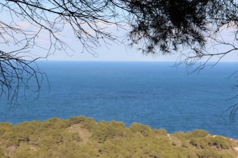 Land plot for sale Javea, Alicante, Spain No. 80672 - photo 3