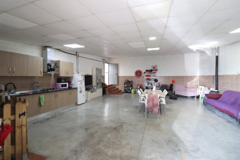 Villa pārdošanā Almoradi, Alicante, Spānijā 3 istabas, 130 m2 Nr. 147028 - attēls 21