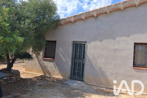 Parcela en venta en L'Ampolla, Tarragona, España 5793 m2 No. 193546 - foto 3