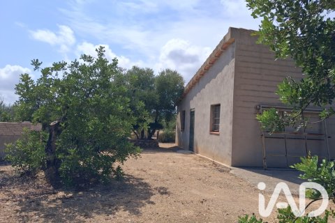 Parcela en venta en L'Ampolla, Tarragona, España 5793 m2 No. 193546 - foto 27
