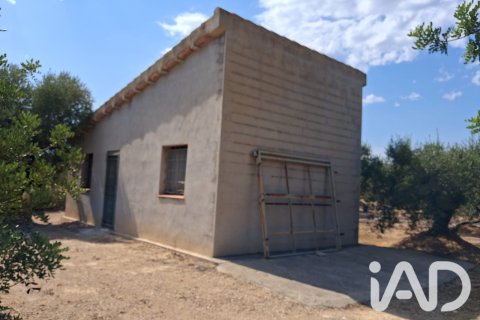Parcela en venta en L'Ampolla, Tarragona, España 5793 m2 No. 193546 - foto 2
