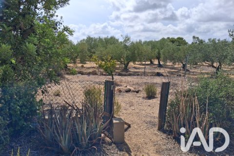 Parcela en venta en L'Ampolla, Tarragona, España 5793 m2 No. 193546 - foto 11