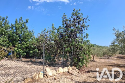 Parcela en venta en L'Ampolla, Tarragona, España 5793 m2 No. 193546 - foto 14