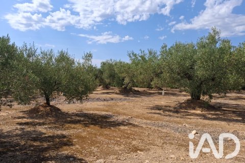 Parcela en venta en L'Ampolla, Tarragona, España 5793 m2 No. 193546 - foto 18
