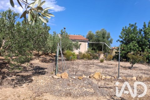 Parcela en venta en L'Ampolla, Tarragona, España 5793 m2 No. 193546 - foto 12