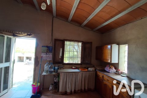 Parcela en venta en L'Ampolla, Tarragona, España 5793 m2 No. 193546 - foto 24