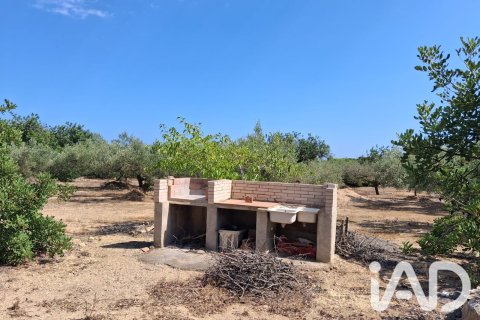 Parcela en venta en L'Ampolla, Tarragona, España 5793 m2 No. 193546 - foto 4