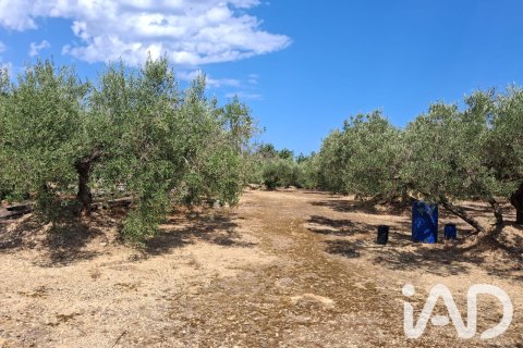 Parcela en venta en L'Ampolla, Tarragona, España 5793 m2 No. 193546 - foto 6