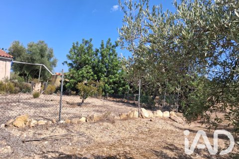 Parcela en venta en L'Ampolla, Tarragona, España 5793 m2 No. 193546 - foto 21