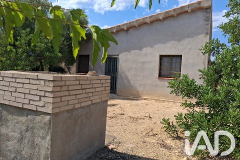Parcela en venta en L'Ampolla, Tarragona, España 5793 m2 No. 193546 - foto 22