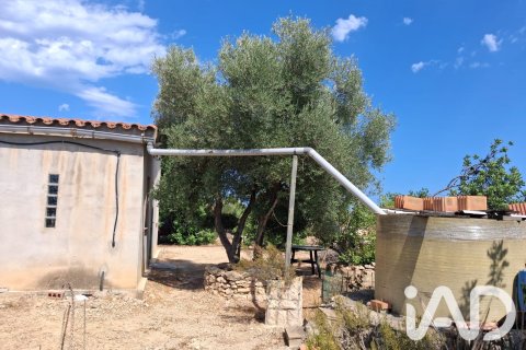 Parcela en venta en L'Ampolla, Tarragona, España 5793 m2 No. 193546 - foto 9