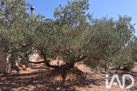 Parcela en venta en L'Ampolla, Tarragona, España 5793 m2 No. 193546 - foto 7