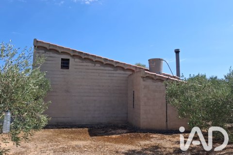 Parcela en venta en L'Ampolla, Tarragona, España 5793 m2 No. 193546 - foto 10