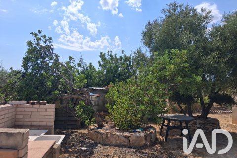 Parcela en venta en L'Ampolla, Tarragona, España 5793 m2 No. 193546 - foto 19