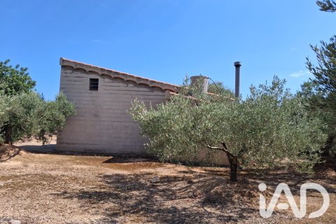 Parcela en venta en L'Ampolla, Tarragona, España 5793 m2 No. 193546 - foto 17