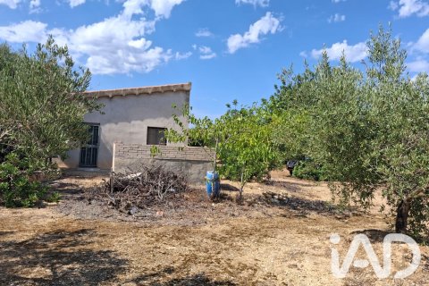 Parcela en venta en L'Ampolla, Tarragona, España 5793 m2 No. 193546 - foto 5