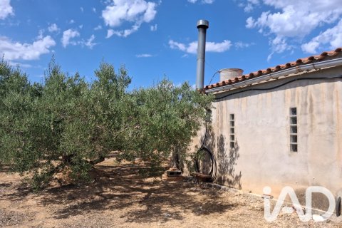 Parcela en venta en L'Ampolla, Tarragona, España 5793 m2 No. 193546 - foto 20