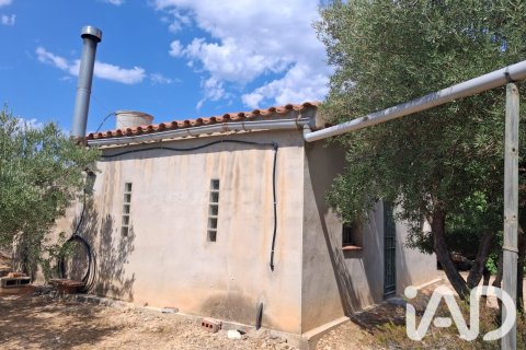 Parcela en venta en L'Ampolla, Tarragona, España 5793 m2 No. 193546 - foto 16