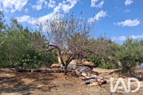 Parcela en venta en L'Ampolla, Tarragona, España 5793 m2 No. 193546 - foto 8