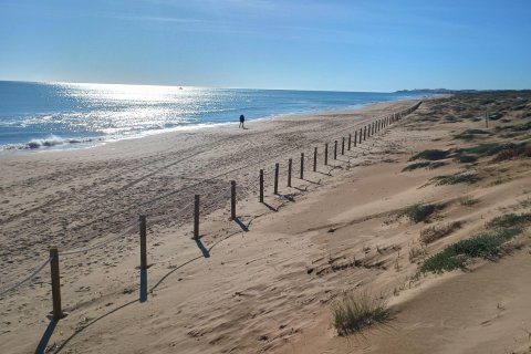 Lägenhet till salu i Guardamar del Segura, Alicante, Spanien 2 sovrum, 51 kvm. Nr. 183046 - foto 16