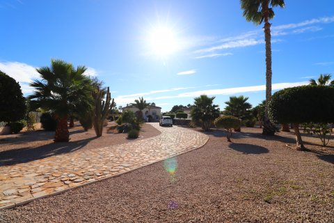 Finca till salu i Catral, Alicante, Spanien 3 sovrum, 110 kvm. Nr. 146612 - foto 23