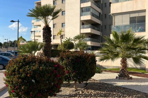 Apartamento en venta en Alicante, España 2 dormitorios, 76 m2 No. 144030 - foto 2