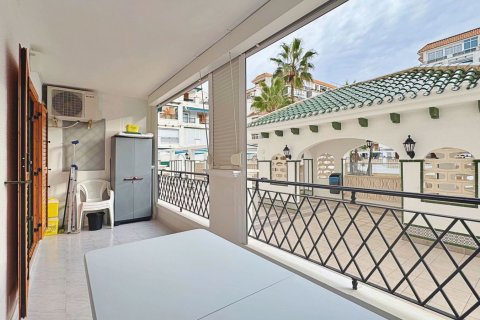 Lägenhet till salu i La Mata, Alicante, Spanien 1 sovrum, 45 kvm. Nr. 139802 - foto 29