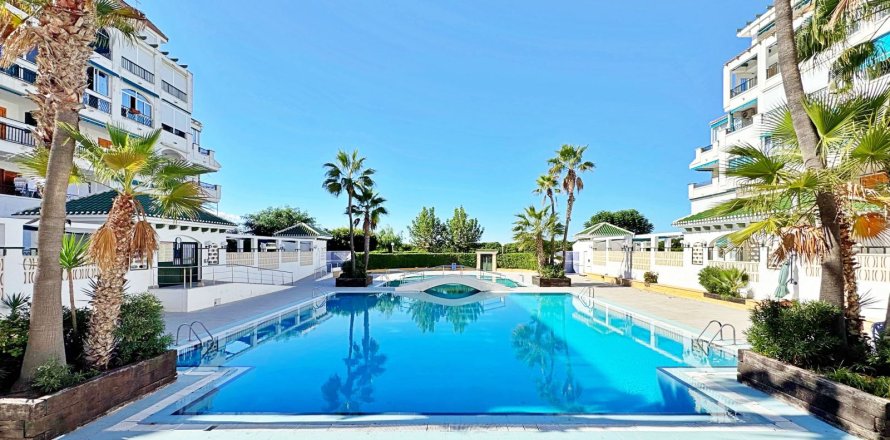 Apartment à La Mata, Alicante, Espagne 1 chambre, 45 m2 No. 139802