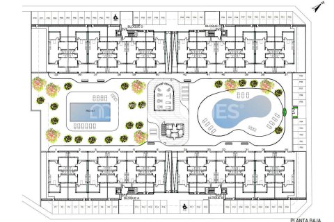 Apartamento en venta en Torre-Pacheco, Murcia, España 2 dormitorios, 68 m2 No. 154361 - foto 23