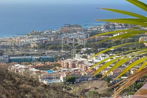 Commercial property à vendre à Adeje, Tenerife, Espagne, 730 m2 No. 181289 - photo 18
