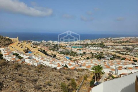 Commercial property à vendre à Adeje, Tenerife, Espagne, 730 m2 No. 181289 - photo 19
