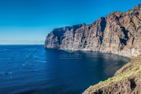 Commercial property à vendre à Adeje, Tenerife, Espagne, 730 m2 No. 181289 - photo 21