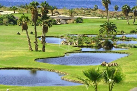 Commercial property à vendre à Adeje, Tenerife, Espagne, 730 m2 No. 181289 - photo 23