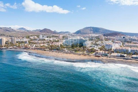 Commercial property à Adeje, Tenerife, Espagne 730 m2 No. 181289