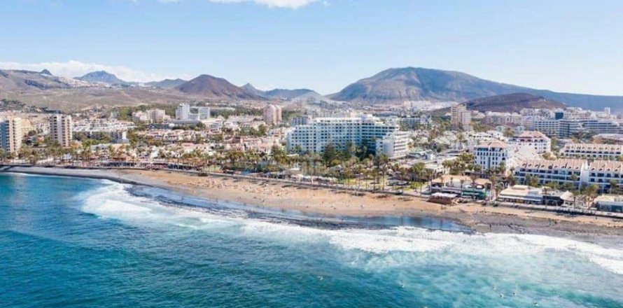 Commercial property à Adeje, Tenerife, Espagne 730 m2 No. 181289