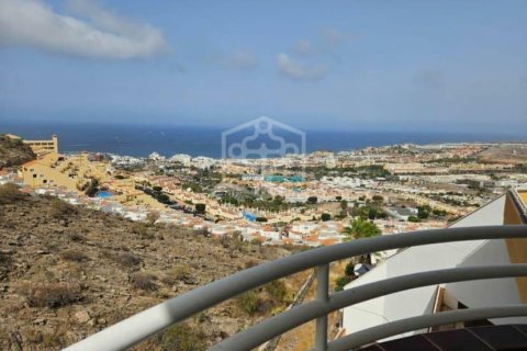 Commercial property à vendre à Adeje, Tenerife, Espagne, 730 m2 No. 181289 - photo 20