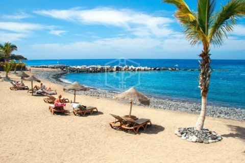 Commercial property à vendre à Guia de Isora, Tenerife, Espagne, 6038 m2 No. 181288 - photo 2