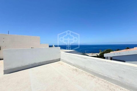 Commercial property à vendre à Guia de Isora, Tenerife, Espagne, 6038 m2 No. 181288 - photo 4