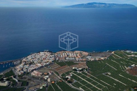 Commercial property à vendre à Guia de Isora, Tenerife, Espagne, 6038 m2 No. 181288 - photo 7