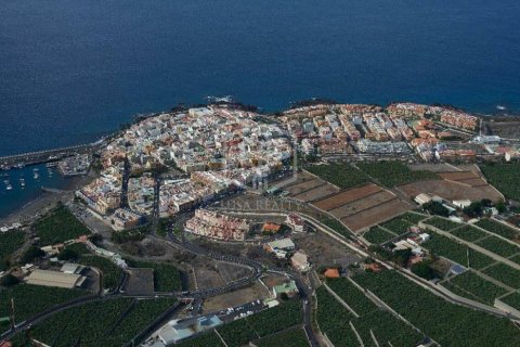 Commercial property à vendre à Guia de Isora, Tenerife, Espagne, 6038 m2 No. 181288 - photo 6